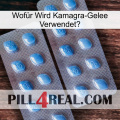 Wofür Wird Kamagra-Gelee Verwendetg viagra4